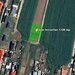 Ilfov Teren intravilan, 1128 mp in Balotesti, Margaretelor